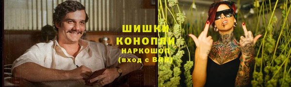 дурь Пестово