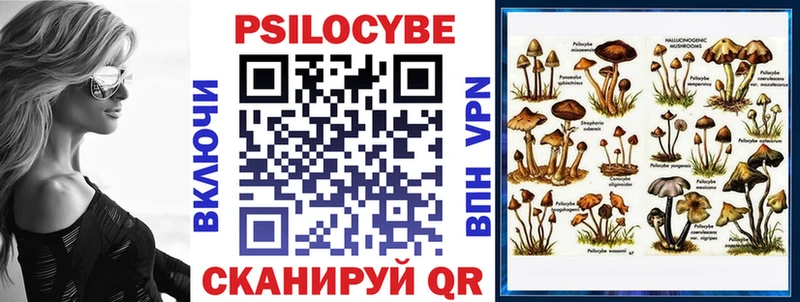 Псилоцибиновые грибы GOLDEN TEACHER  Пересвет 